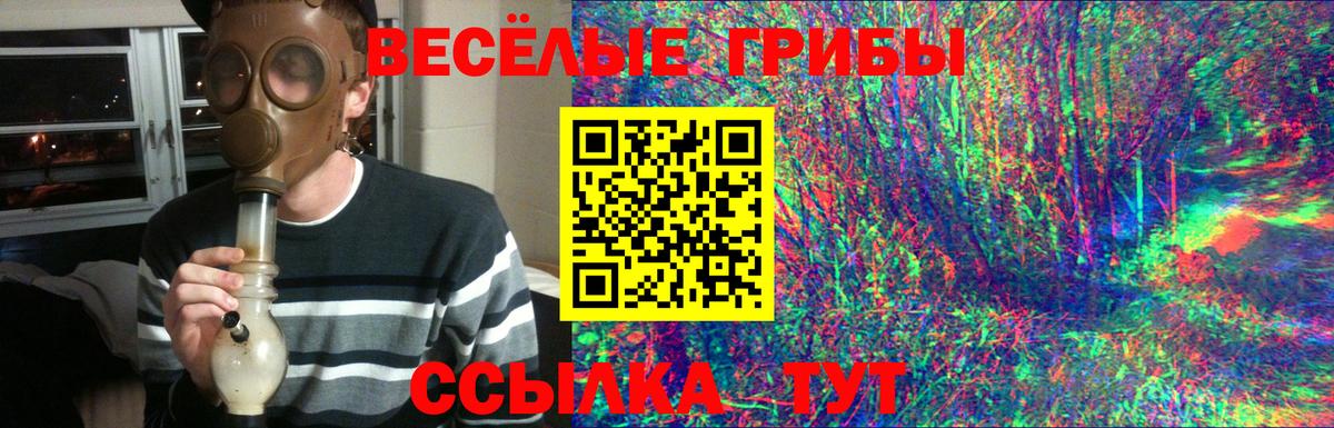 Туймазы  цена   Вход с VPN  Псилоцибиновые грибы Psilocybine cubensis 